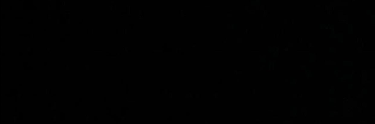madisonteal_'s profile banner image