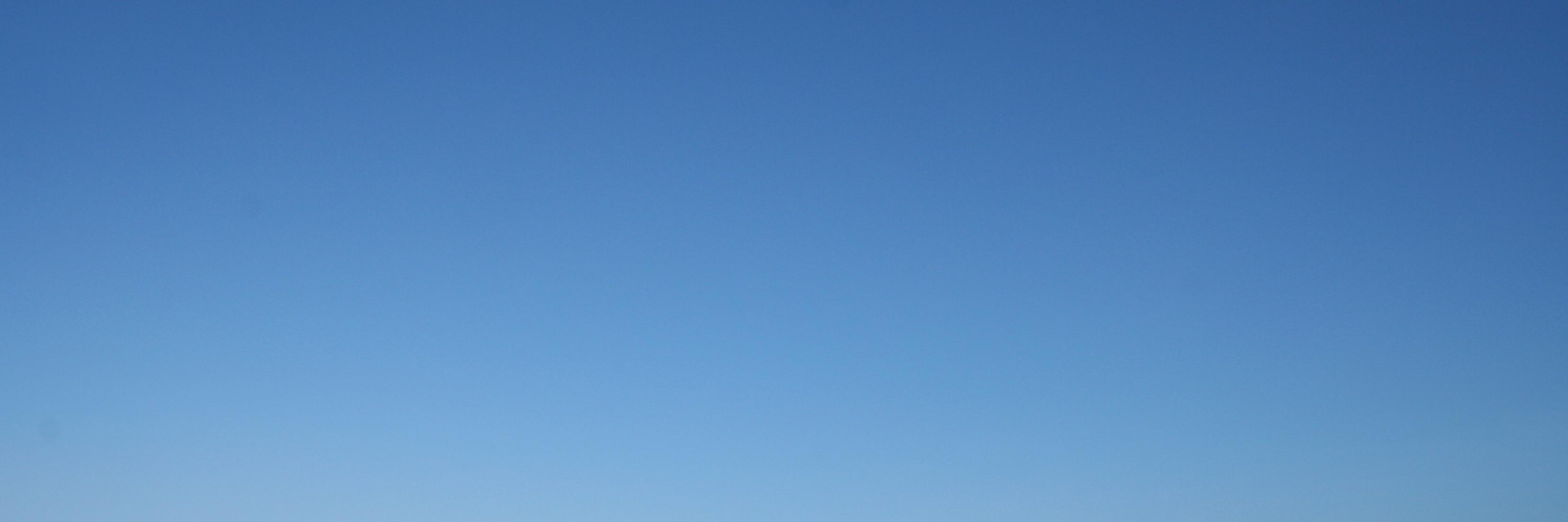 seafollych's profile banner image