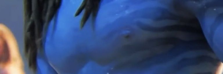 jake sully's pecs banner