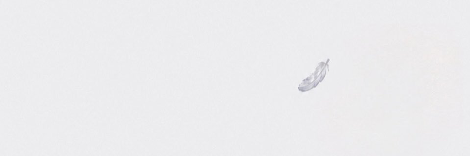 magaREI_null's profile banner image