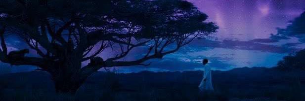 Colleyboii's profile banner image