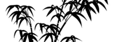 DiosCanchola's profile banner image