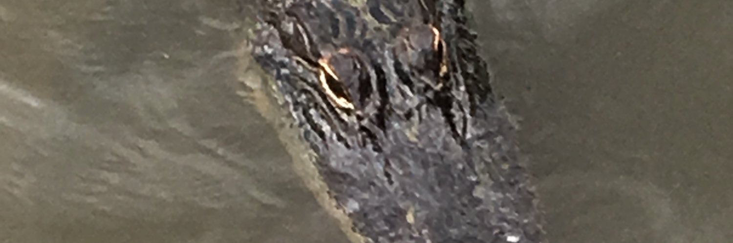 EllenderII's profile banner image