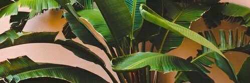 flavisofiaa's profile banner image