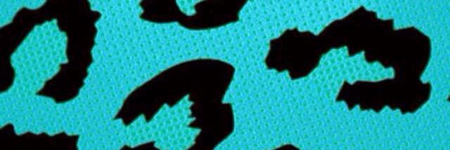Amy Chaffee's banner