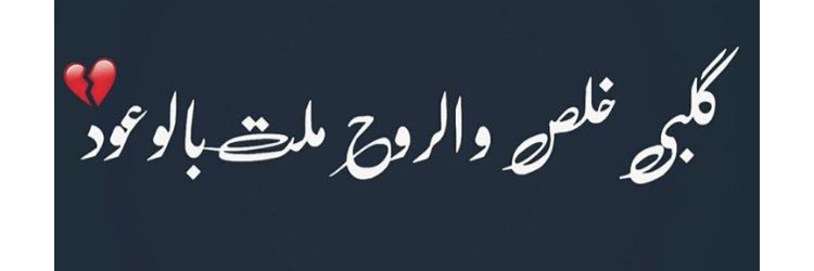 lic5li's profile banner image
