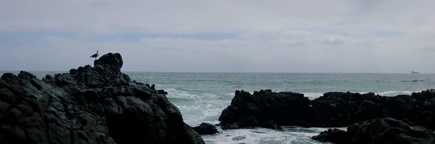 madetomeasvre's profile banner image