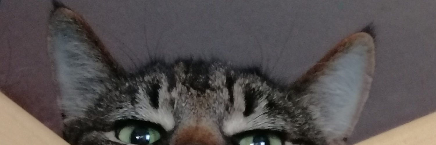 JaysonBloxham's profile banner image