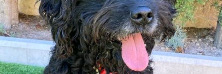 QuiqueGuardiola's profile banner image