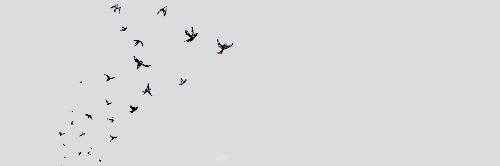 AJHNPE's profile banner image