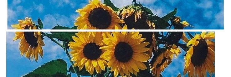 Angie Bermudez💗 banner