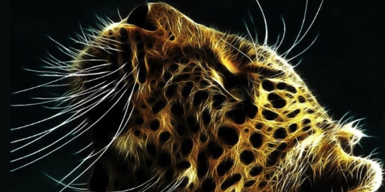CoryEdwards1's profile banner image