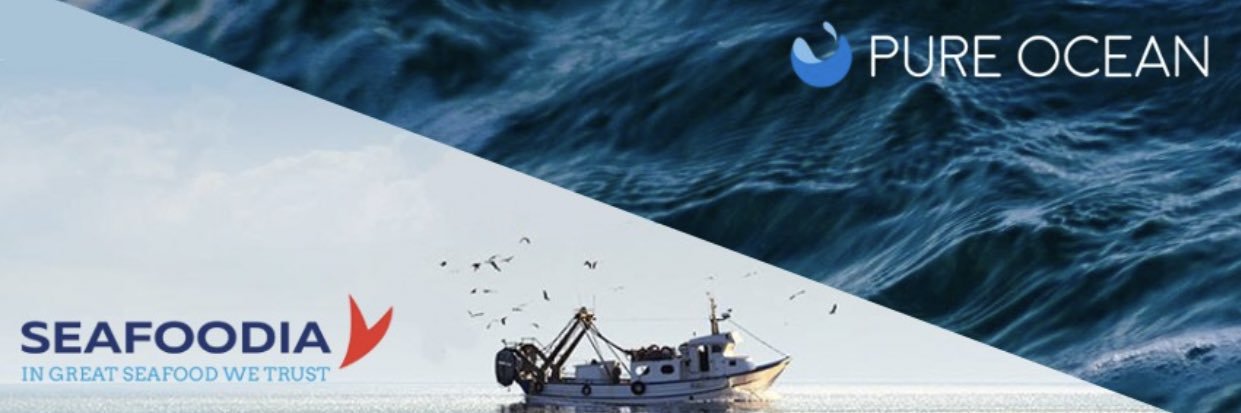 David Sussmann banner