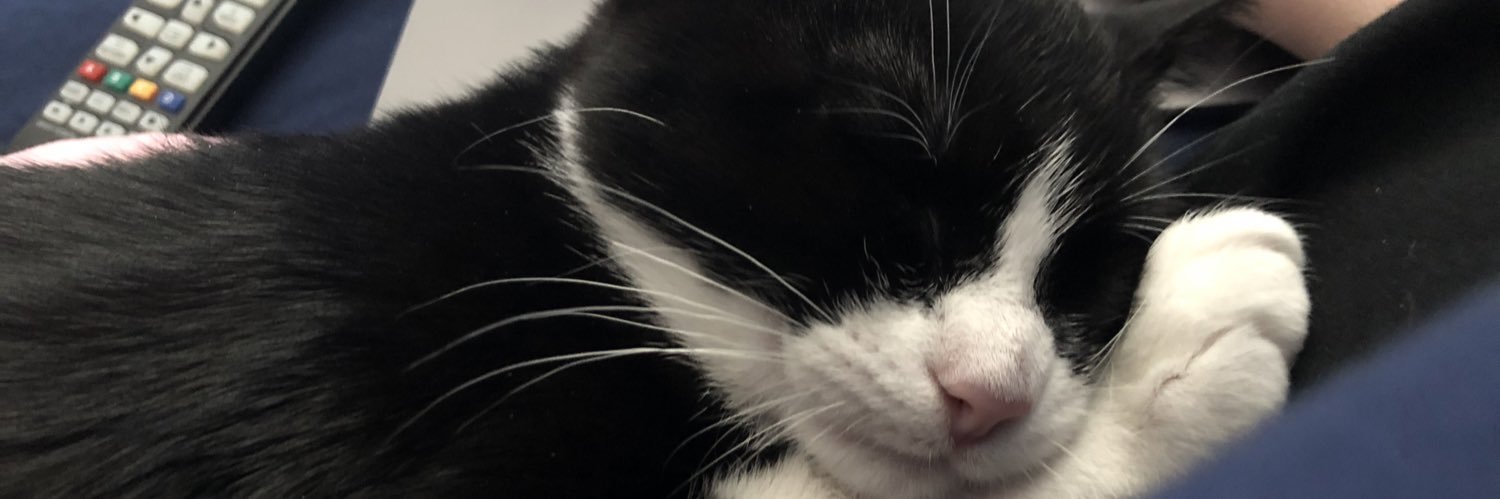 content_ginger's profile banner image