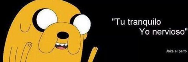 TOZIpedia's profile banner image