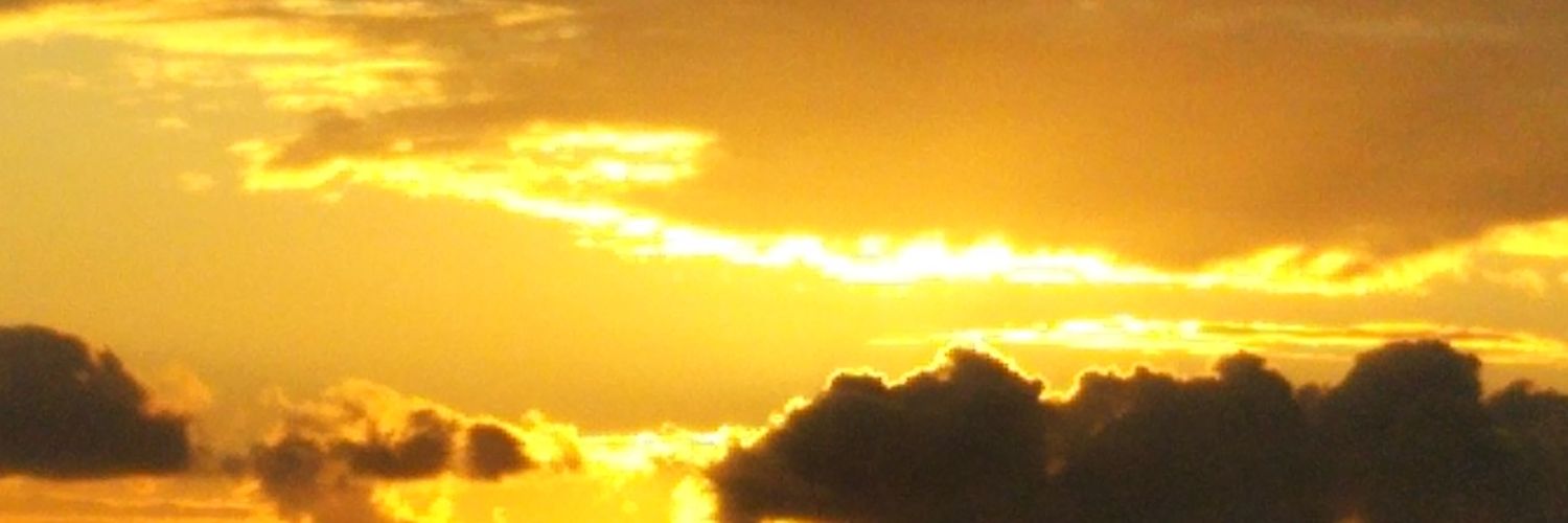 ezono_'s profile banner image