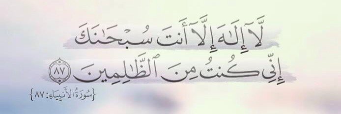 Eng/Walid  AlBadry banner