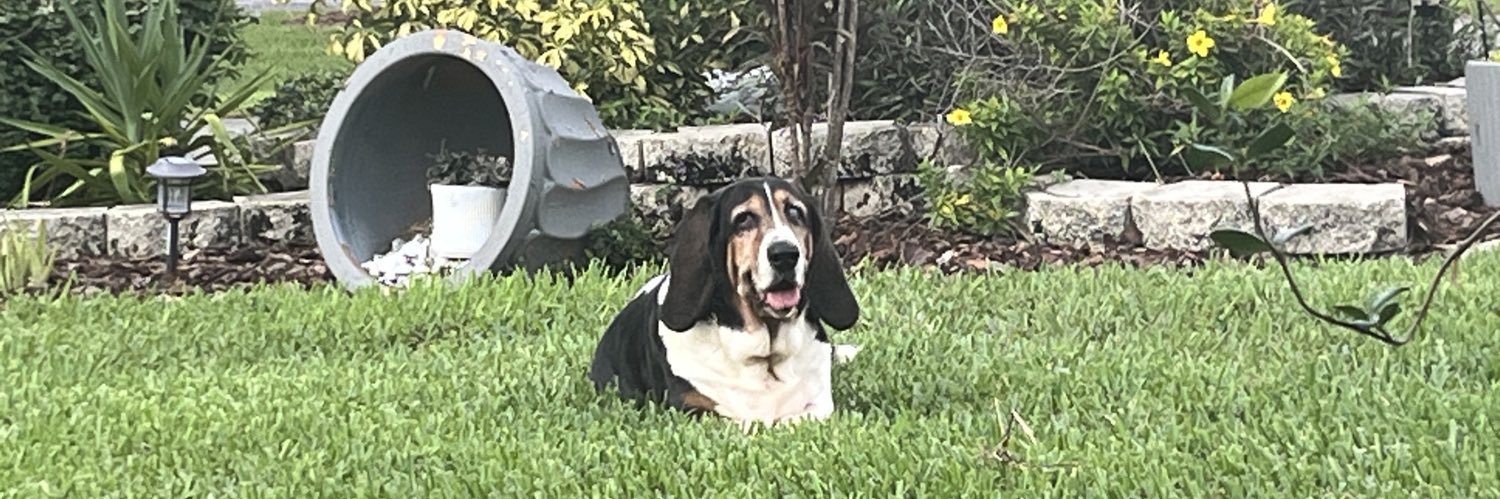 UVA 🍺🏈⚾️🏀🏒🎣 banner