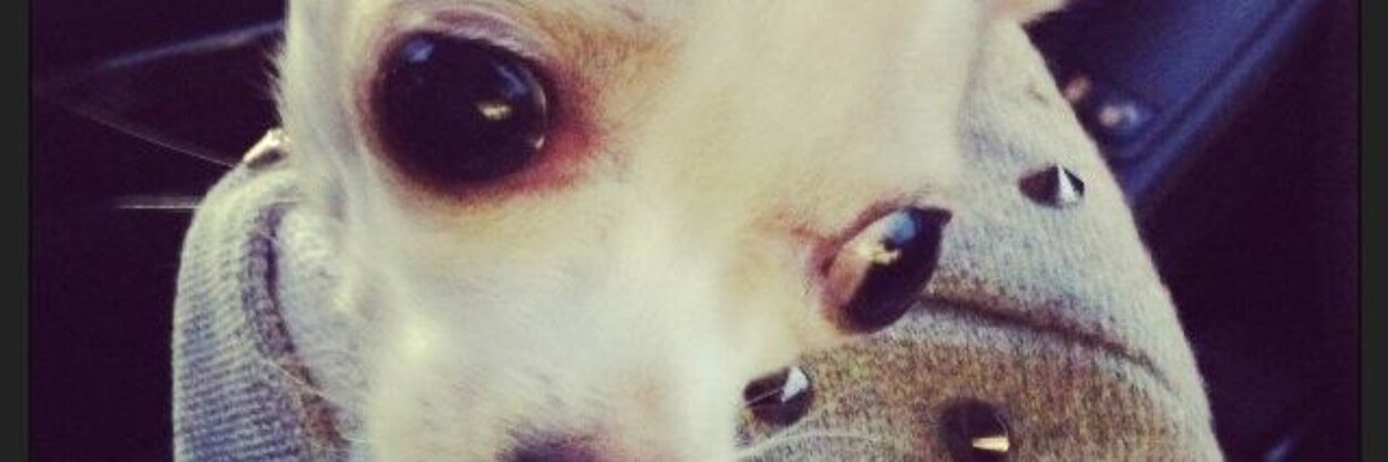 cosettaf's profile banner image