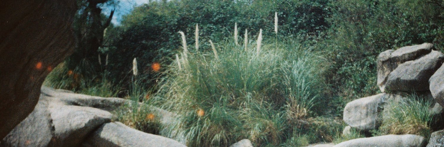agosgargiulo's profile banner image