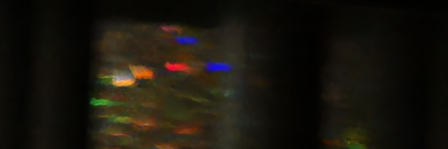 Timmy Nebraska (Im back) banner