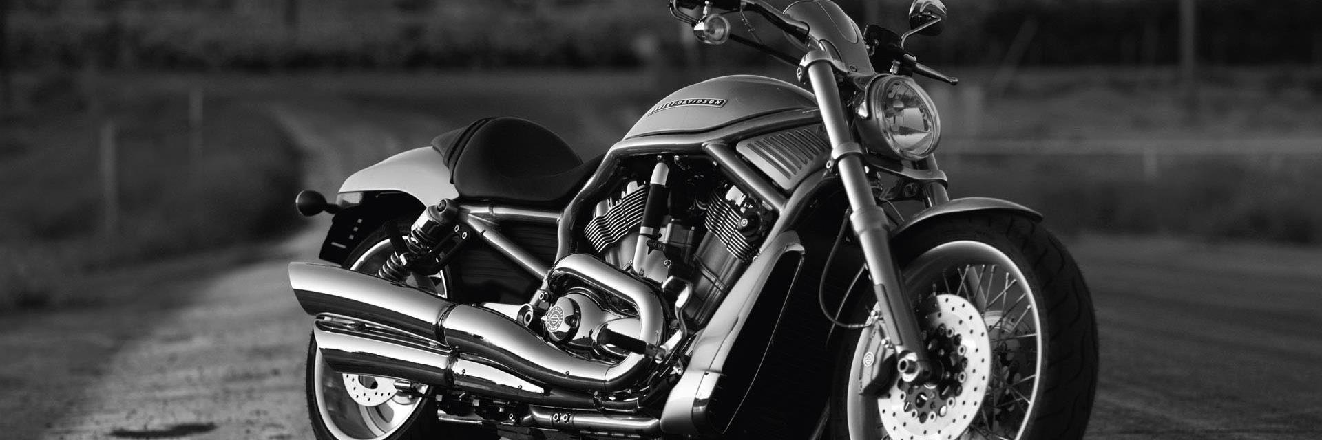 HarleyLa's profile banner image