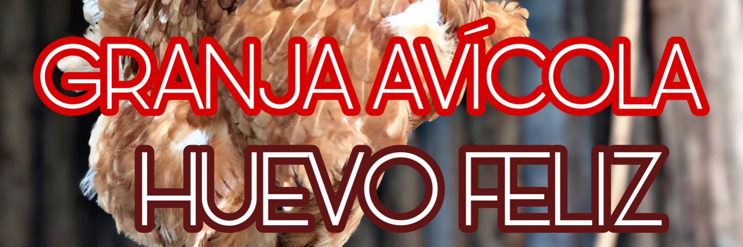 hectoranza's profile banner image