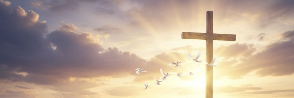 FOE (Freedom on Earth from false gods) banner