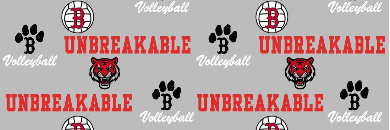 BlountstownVB banner