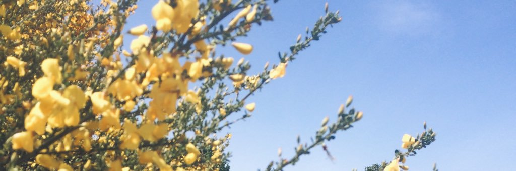 ComebackMag's profile banner image
