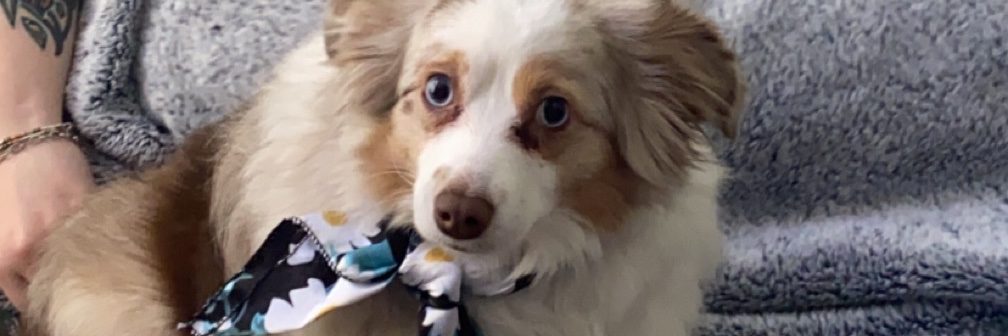 cashlikelos's profile banner image