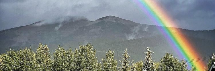 asknurselaura13's profile banner image