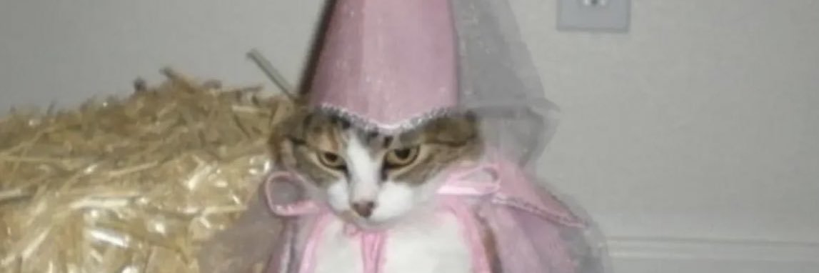 coeloren_'s profile banner image