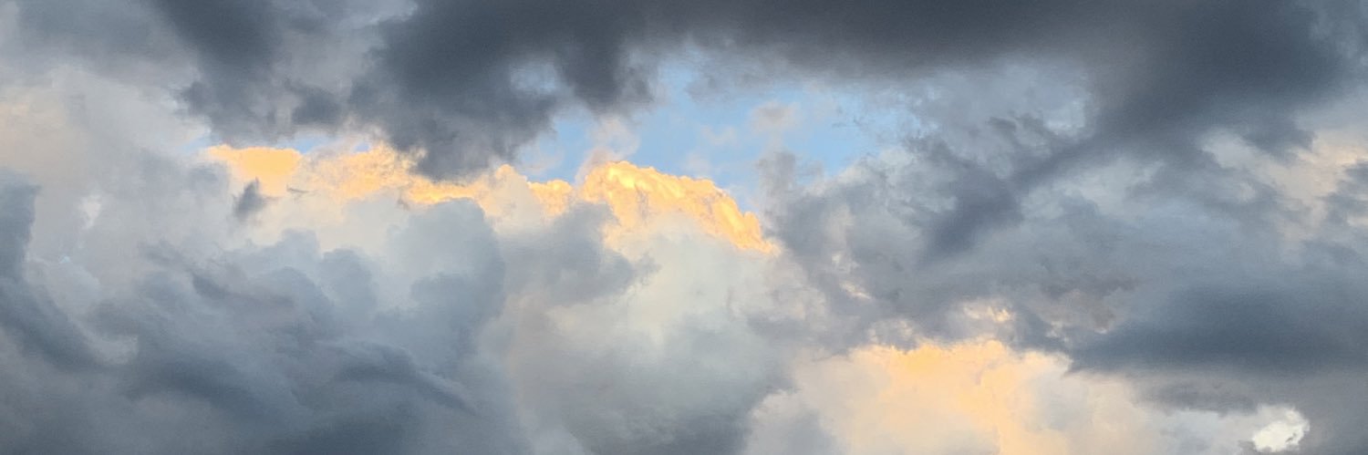 alianink's profile banner image