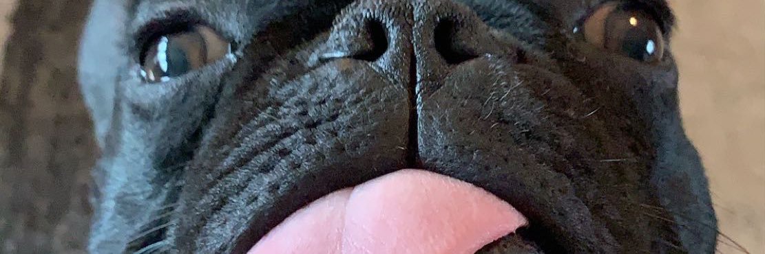 kkylie42's profile banner image