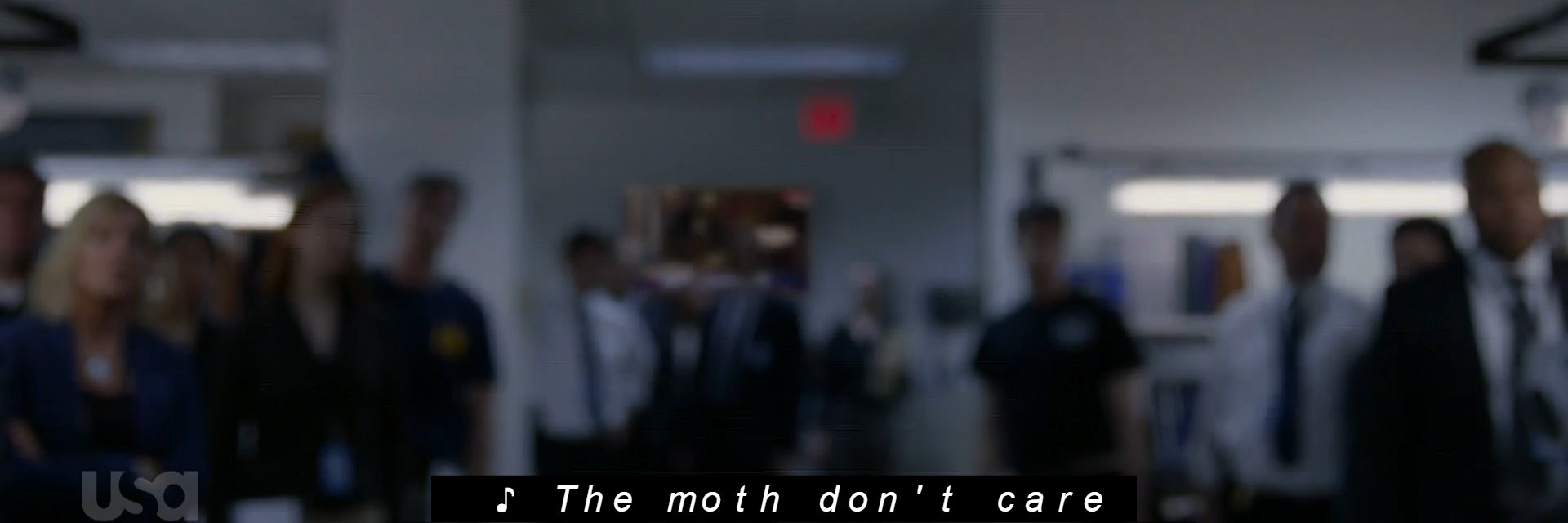 mothdc's profile banner image