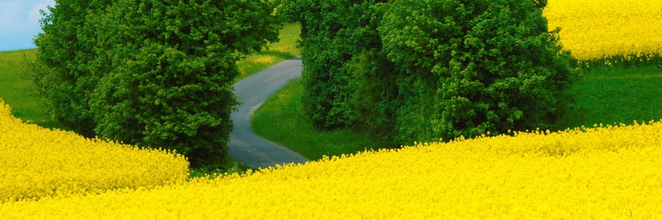 sizealodiyorum's profile banner image