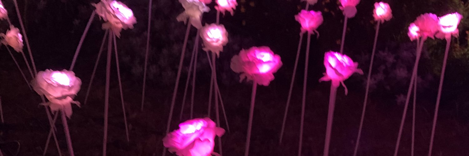 ha_sd__12's profile banner image