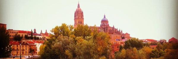 ally_baier Profile Banner