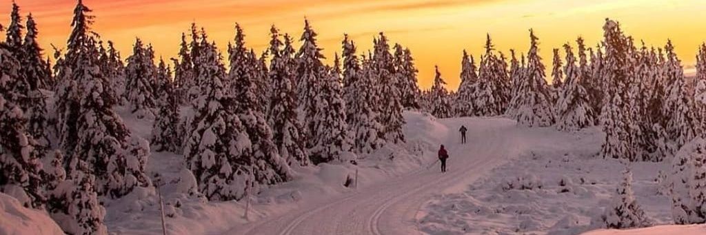 JMeisterElf's profile banner image