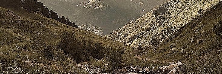 Kaiser. banner