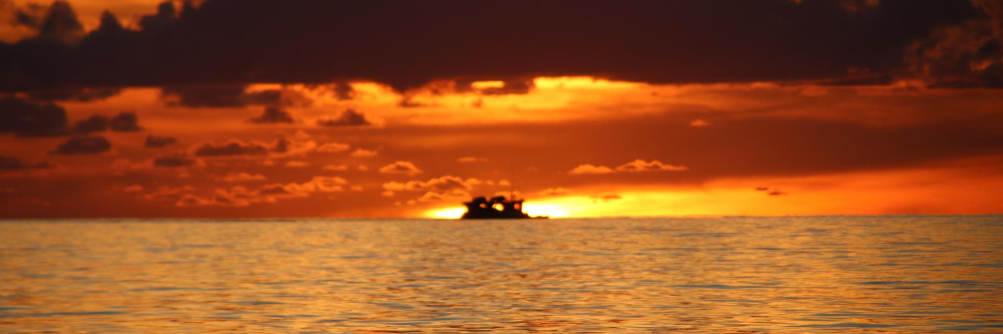 Pacific Live tweets banner