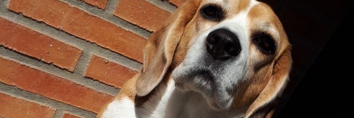 ValmeGrcia's profile banner image