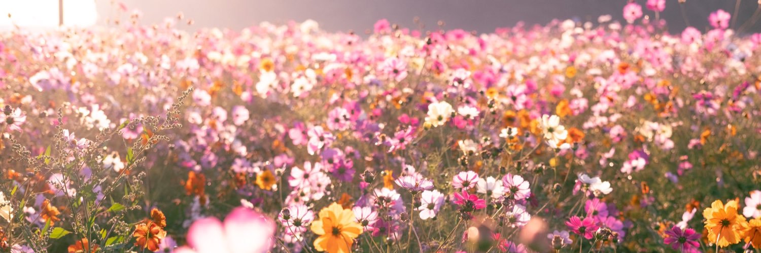 mari7_1224's profile banner image