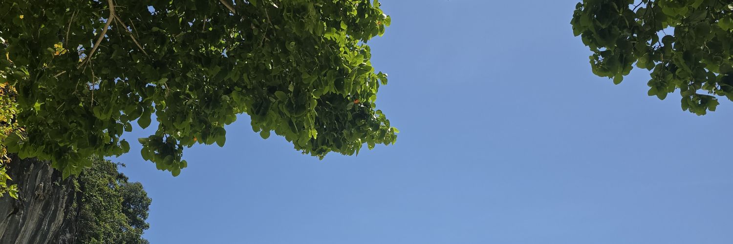 sand_soii's profile banner image