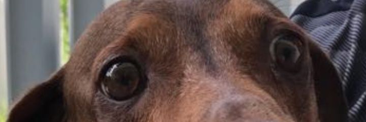 escher1's profile banner image