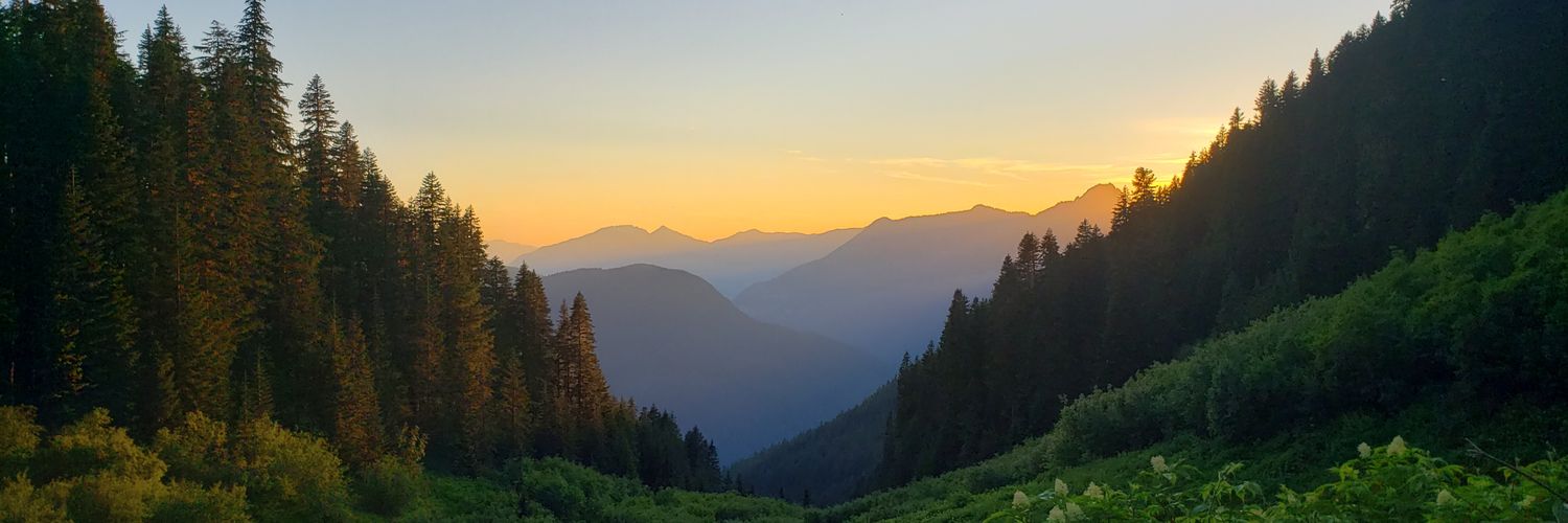 DJMcCarty04's profile banner image