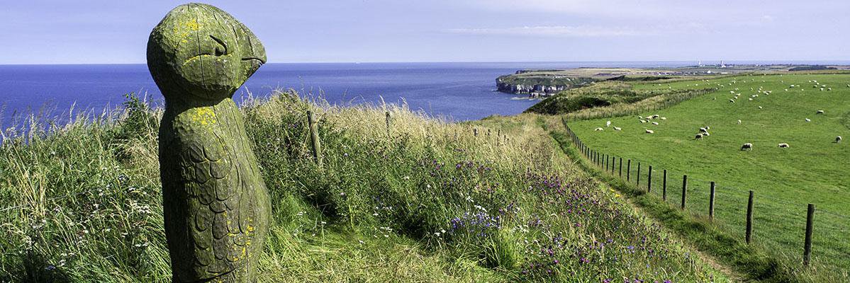 YorkshireGuides's profile banner image