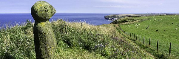 YorkshireGuides Profile Banner