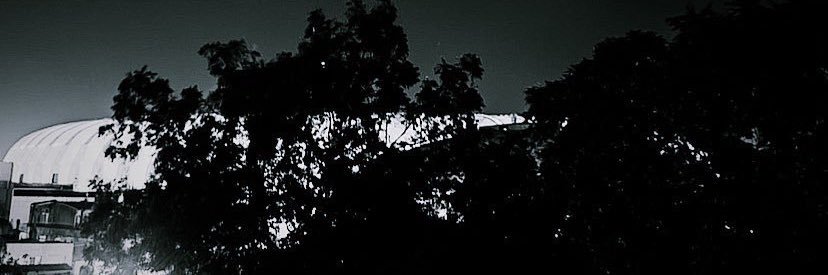 bielfederich's profile banner image